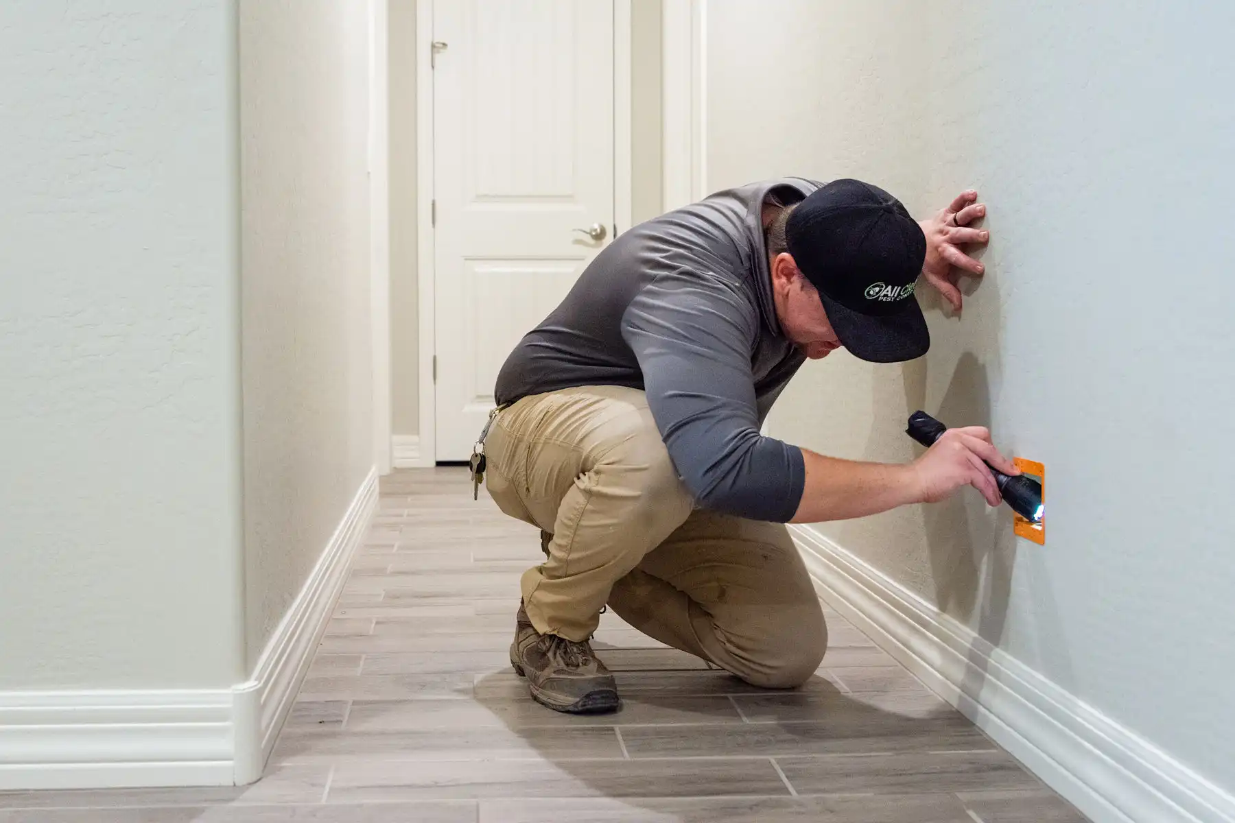 Property Maintenance Pest Control Renovation and Maintenance Los Angeles
