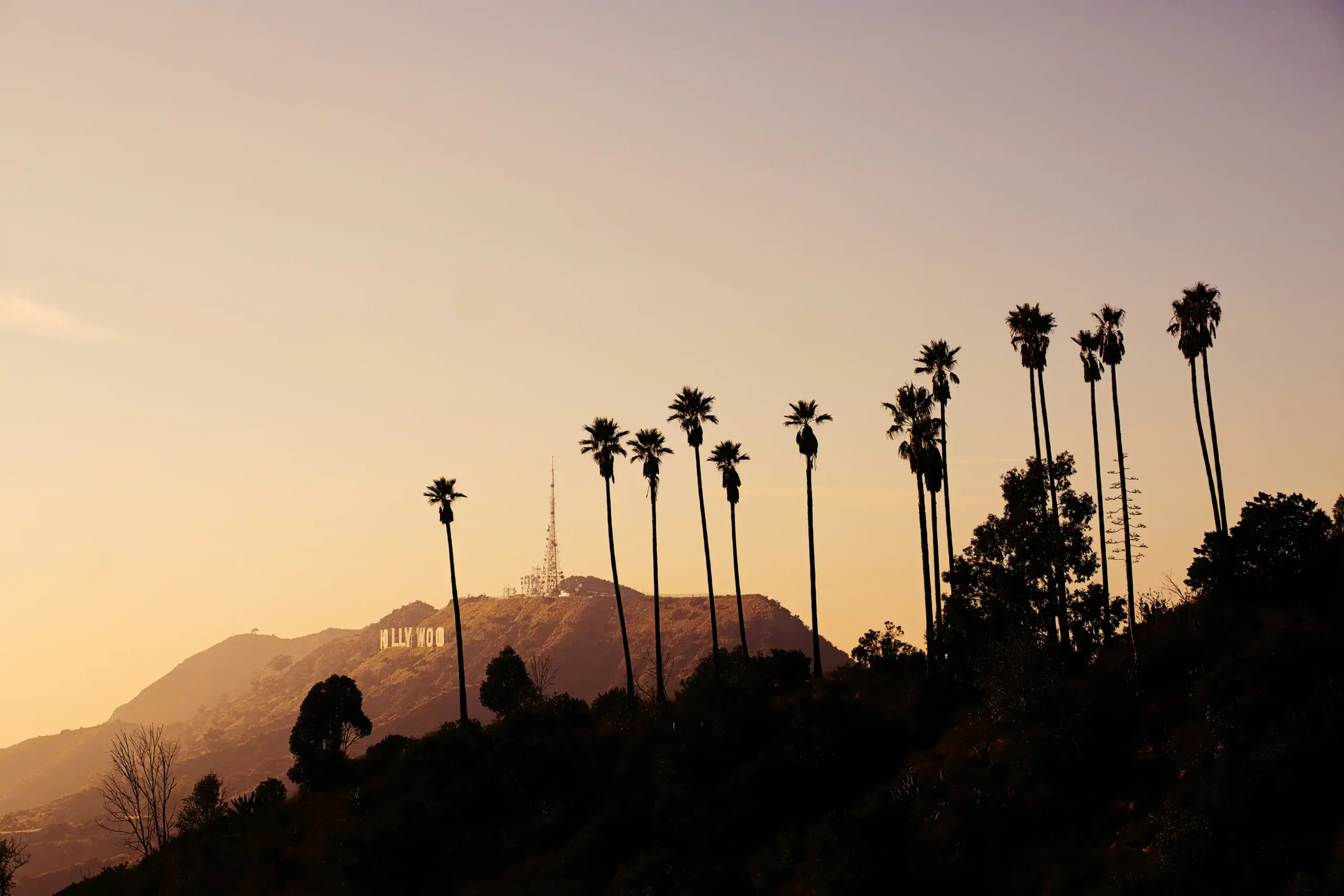 Hollywood Dusk  ROM Residential